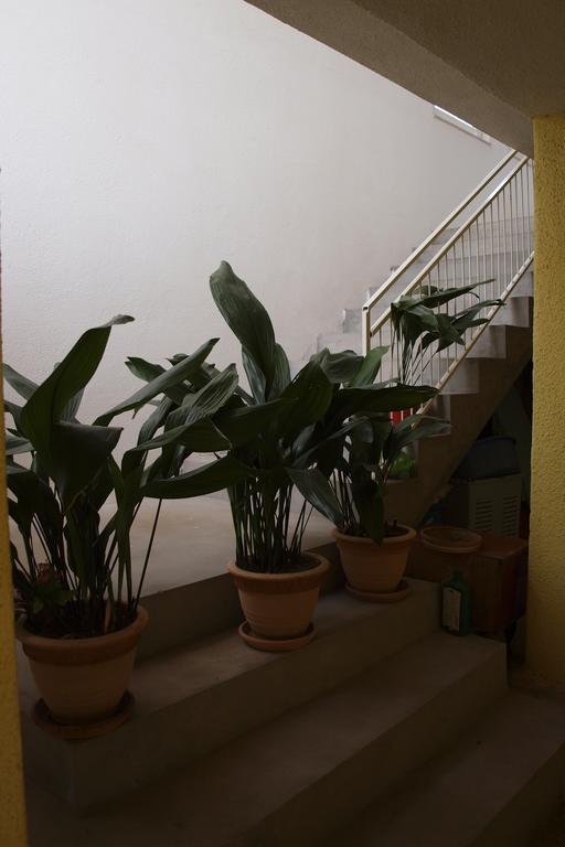 Apartments Viktorija Starigrad Paklenica Εξωτερικό φωτογραφία